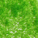 PRECIOSA rokajl 10/0 jasně zelený transparentní - 10 g 