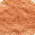 PRECIOSA rokajl 10/0 světle oranžová terra - 50 g 